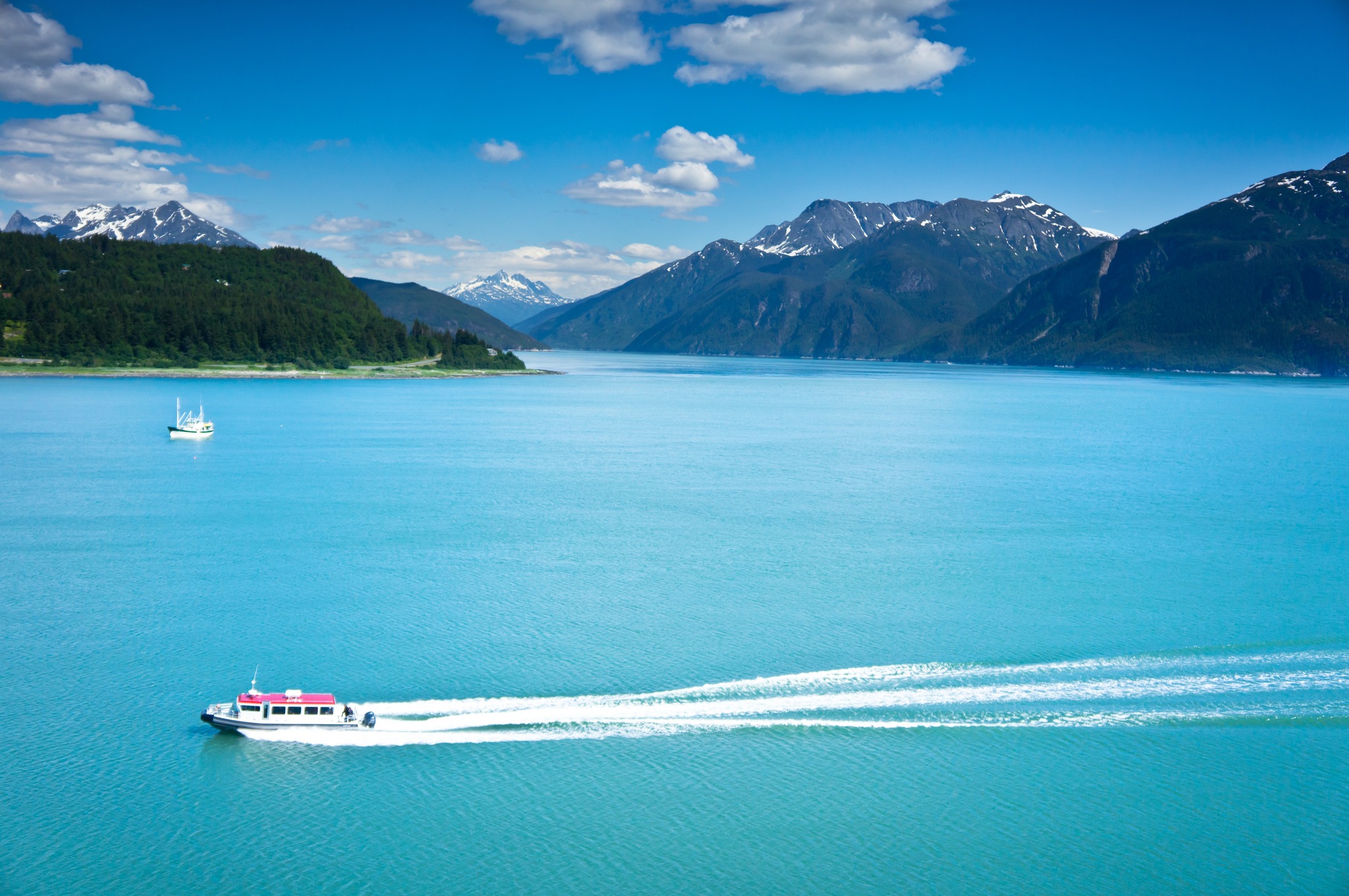 Blossom Harmony Travel